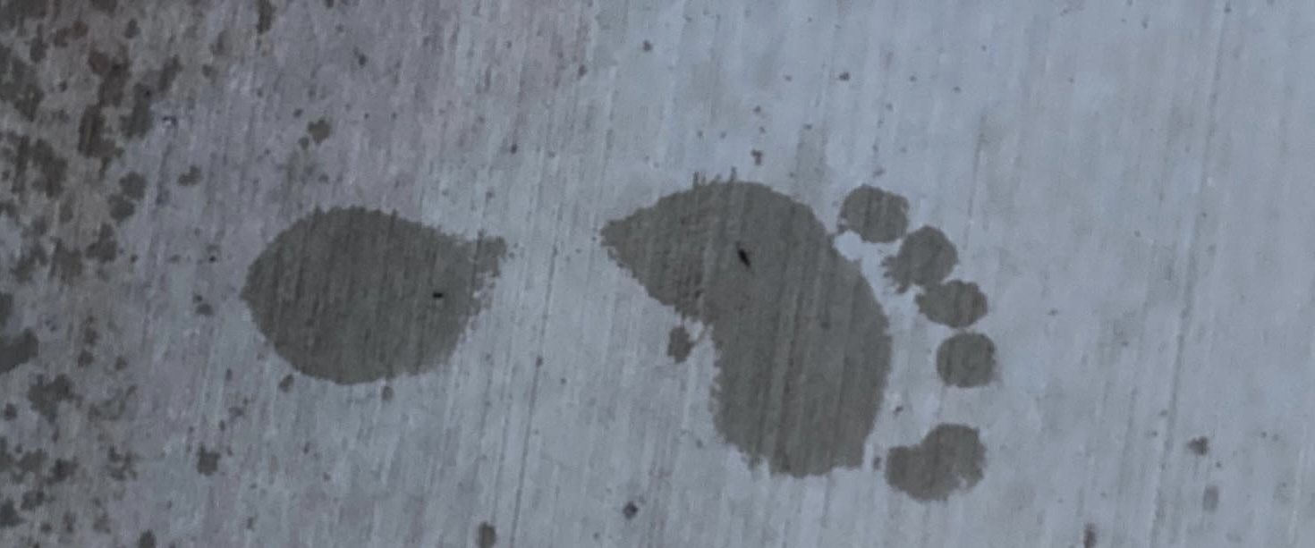 Pretty Foot banner image