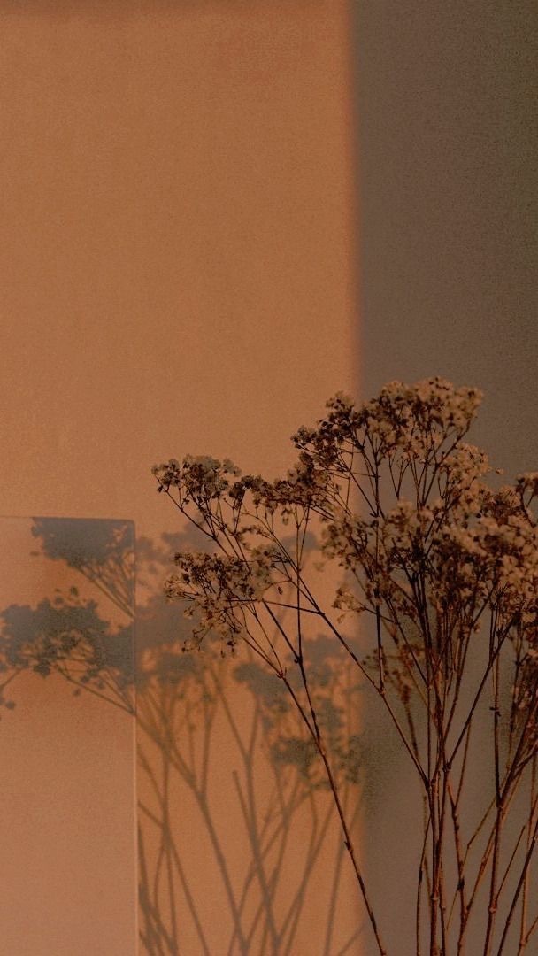 PrettyJaxs banner image
