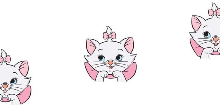 kitty <3 banner image