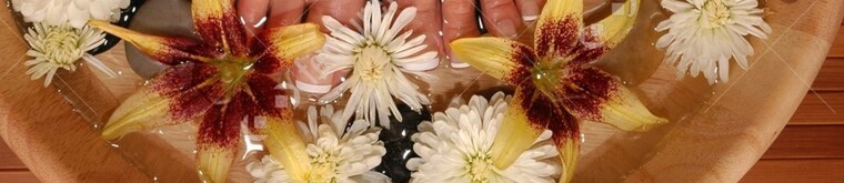 PrettyLilFeet cover image