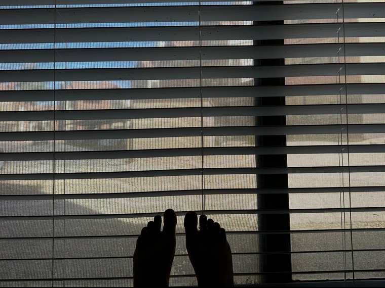 Lil Toes banner image