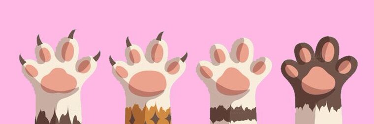 PrettyPaws cover image