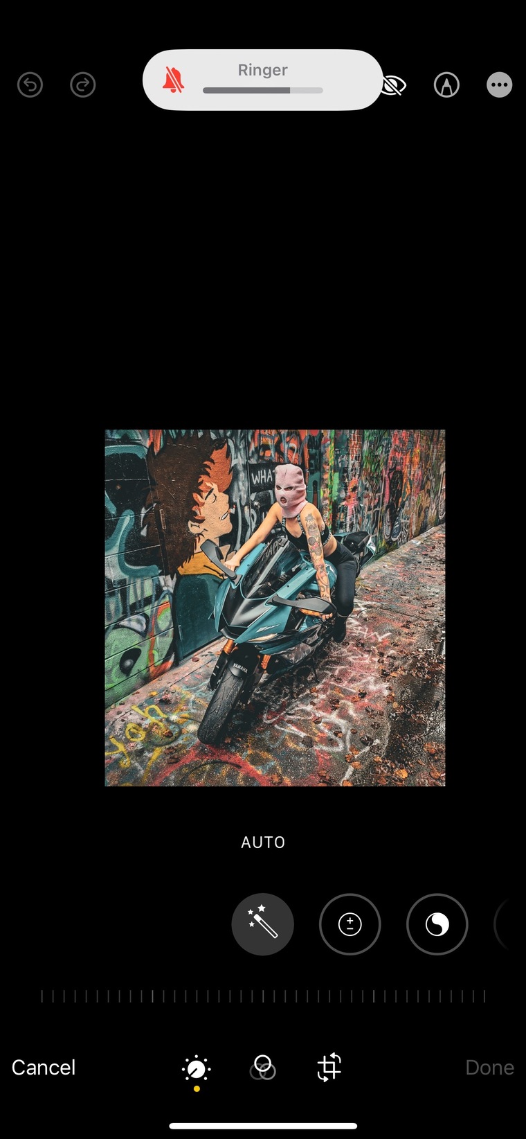 Sasha cover image