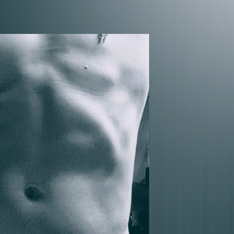 Steve cover image