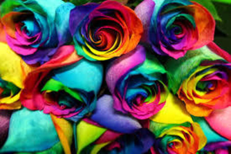 PrettyQueerPotato cover image