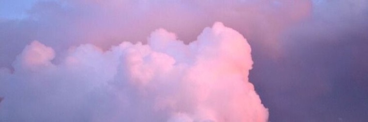 Stacie banner image