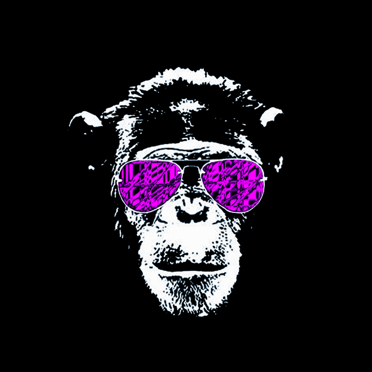 Mr. Monkey Business cover image