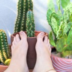 Prickly Lil Pear avatar