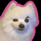 Pri ge avatar