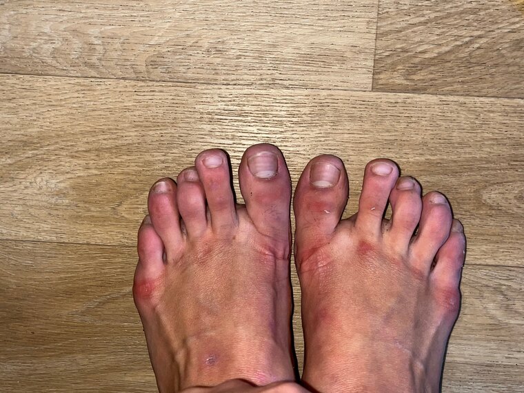 Prima.toes banner image
