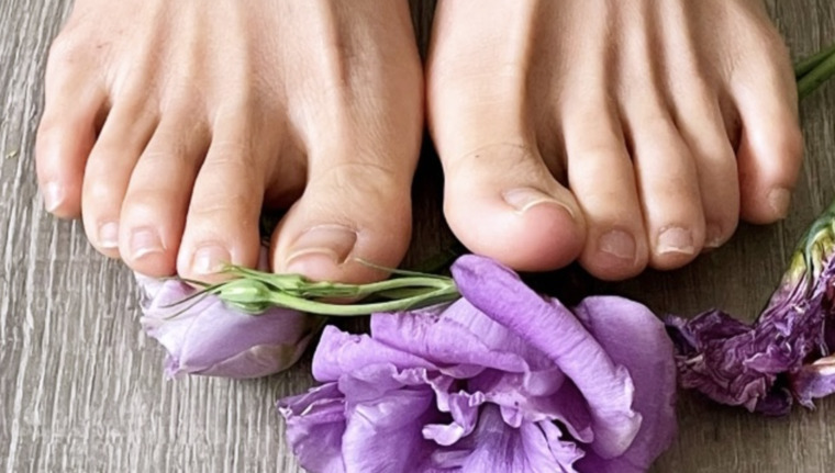 Prima Feet banner image