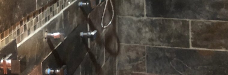 Primal Instinct banner image