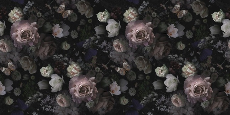 Primeebonypussy cover image