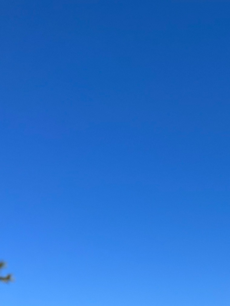 Adrián Navarrete Rubio banner image