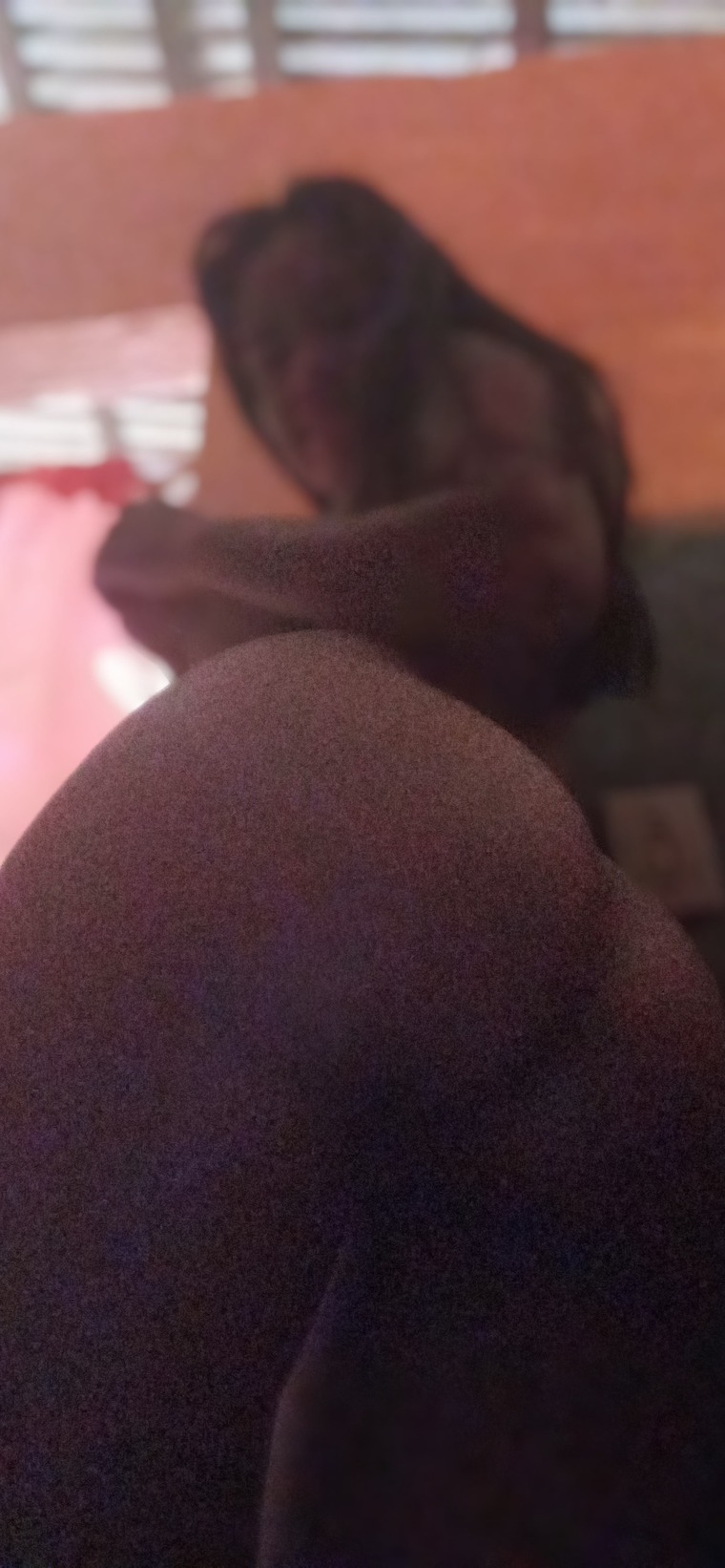 Eviiš„° banner image
