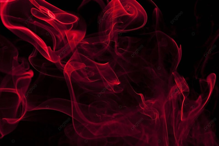 Abichuela banner image