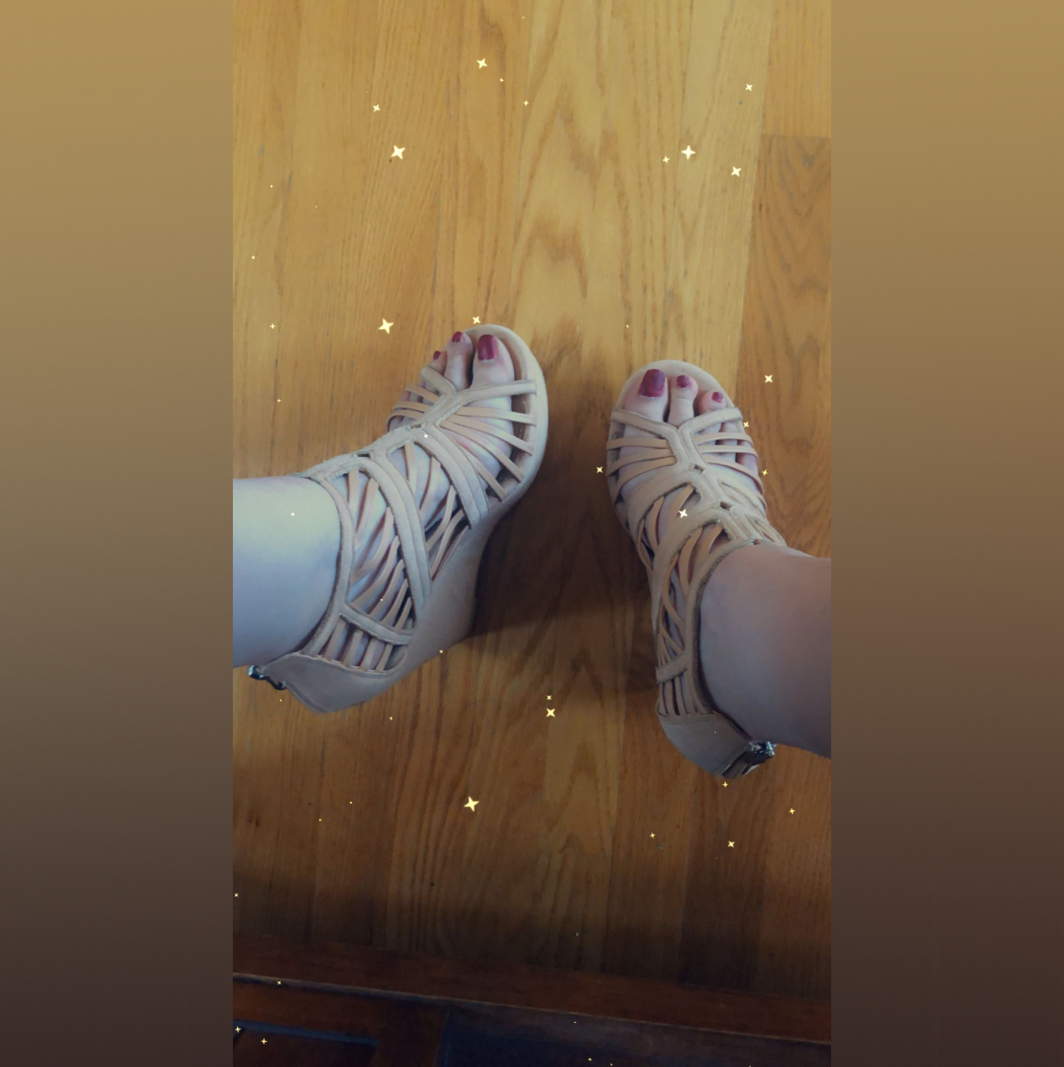 Princess Pawg banner image