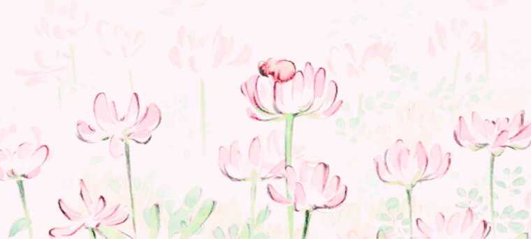 cara 🎀🪷 cover image