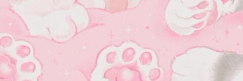 princesses cover image