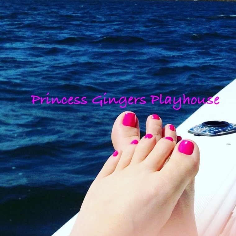 Princess Ginger’s Playhouse👑 cover image