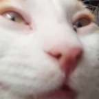 Ya avatar