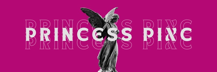 Princess PixC banner image