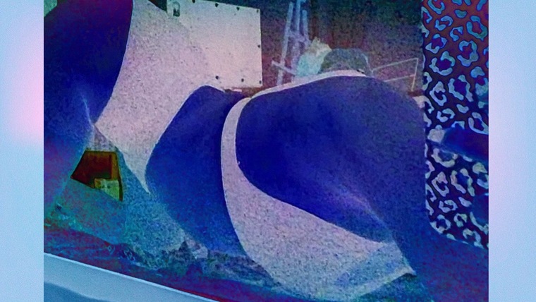 š¤vivienneš¤ banner image