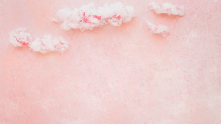 princess cover image