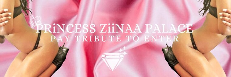 PrincessZiinaa banner image