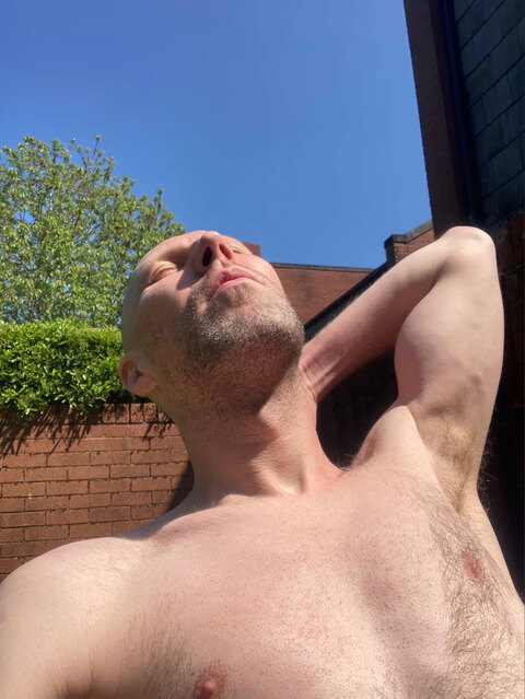 Prince Wills 👑 cover image