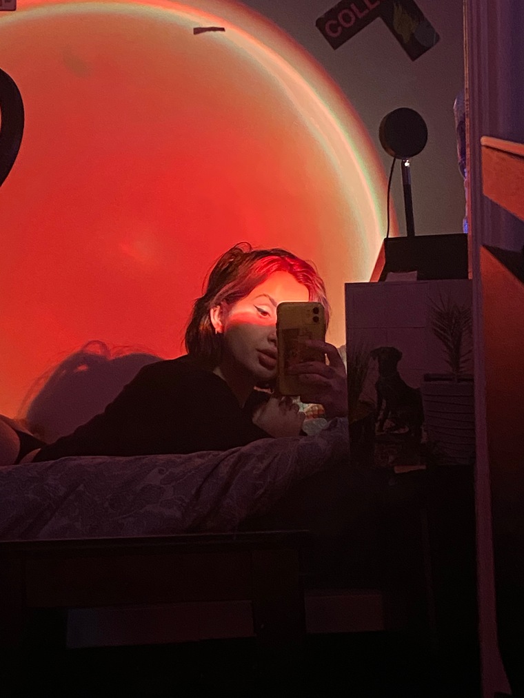 princess leia cover image