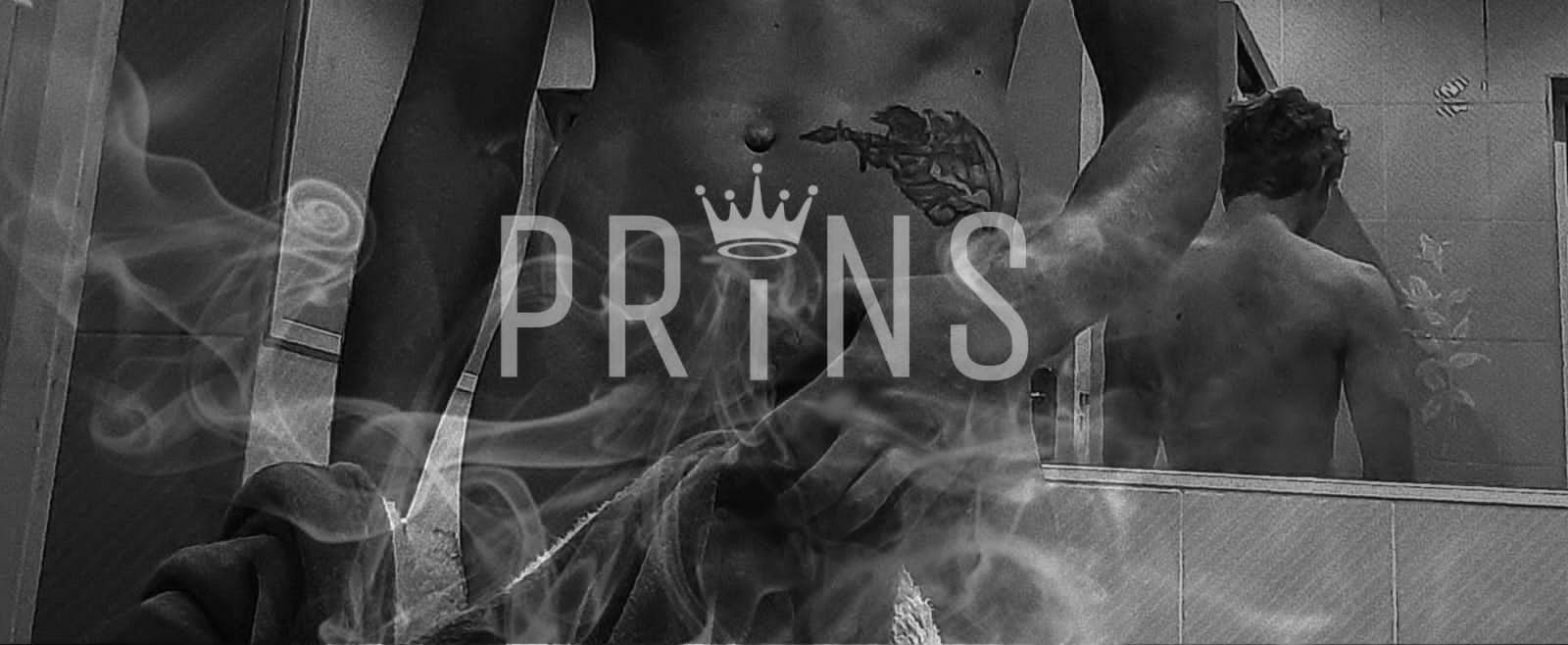 Prins banner image