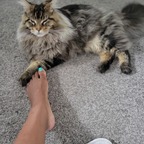 Prinzess Pedi & Lynxy Crypto avatar