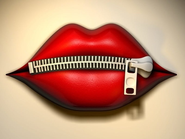 XOXO cover image