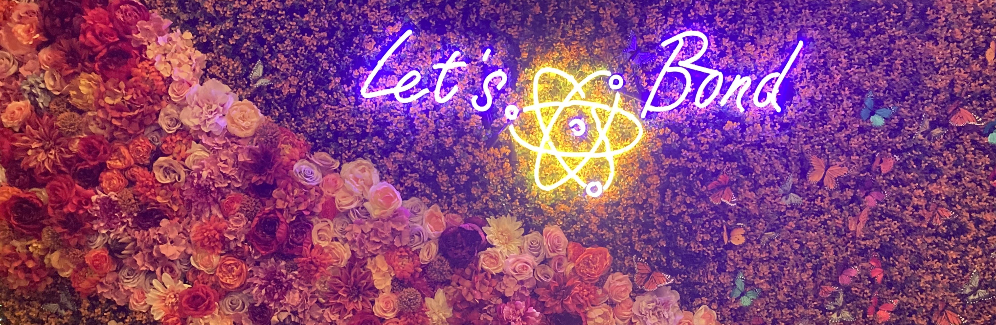 prlbcake banner image