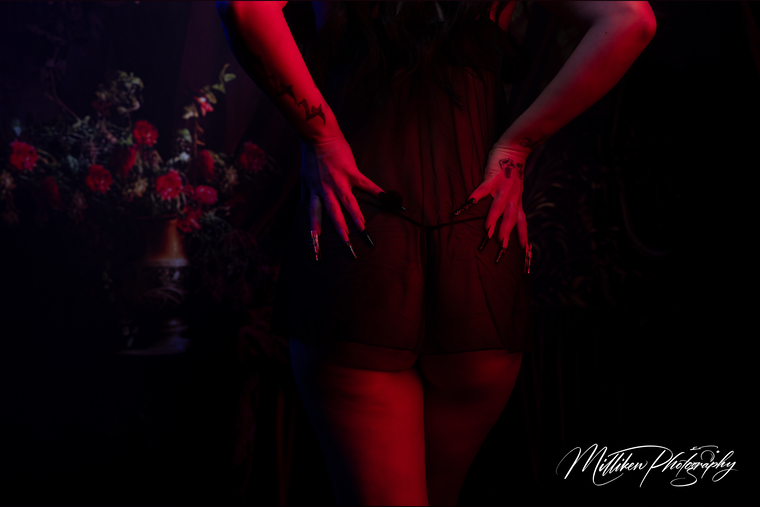 Najesta banner image
