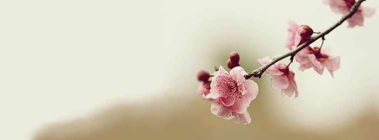 Pry _ LATINA ๐ฅ๐ banner image
