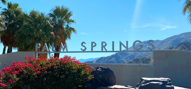 Palm Springs Ginger cover image