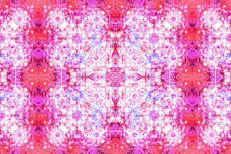 PsillyLily cover image