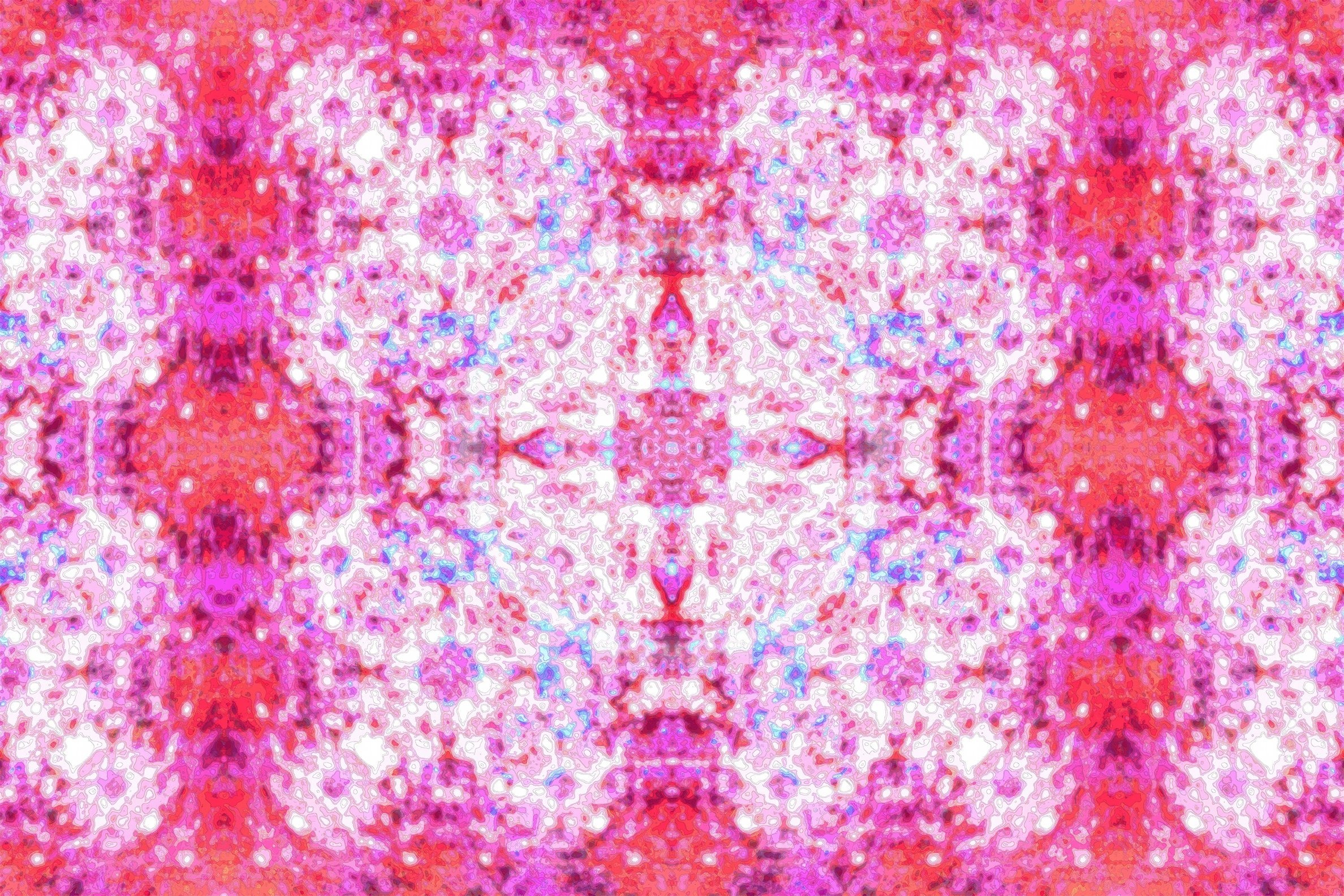 PsillyLily banner image