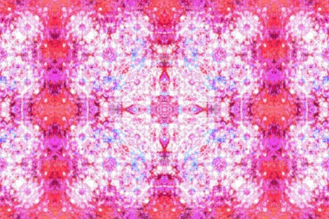 PsillyLily cover image