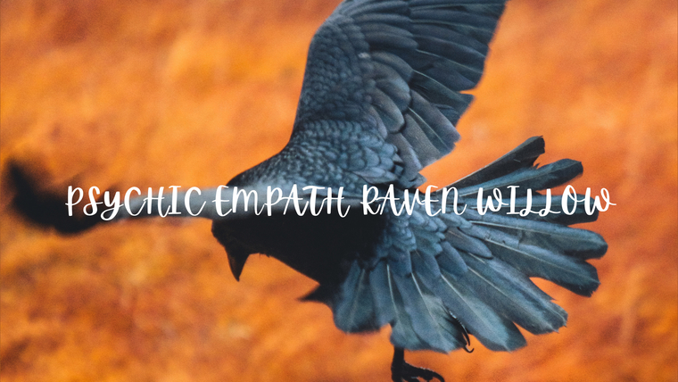 Raven Willow cover image