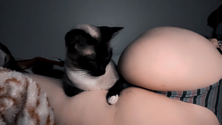 Puddin cover image