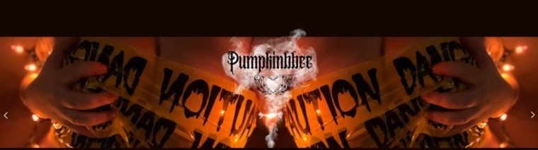 Pumpkinbbee cover image