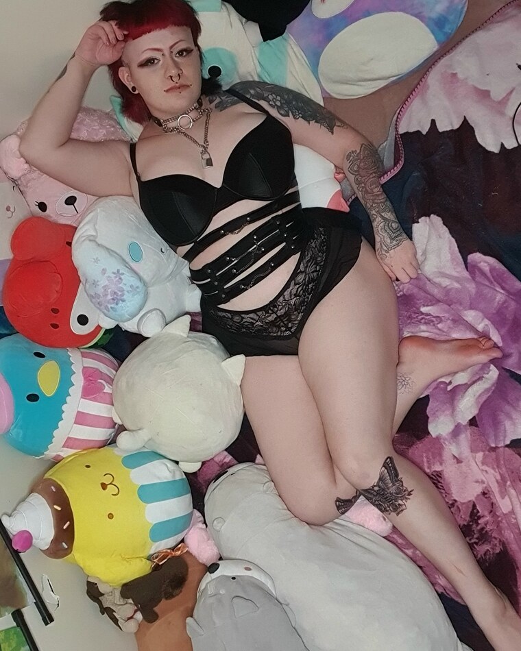 kitty cover image