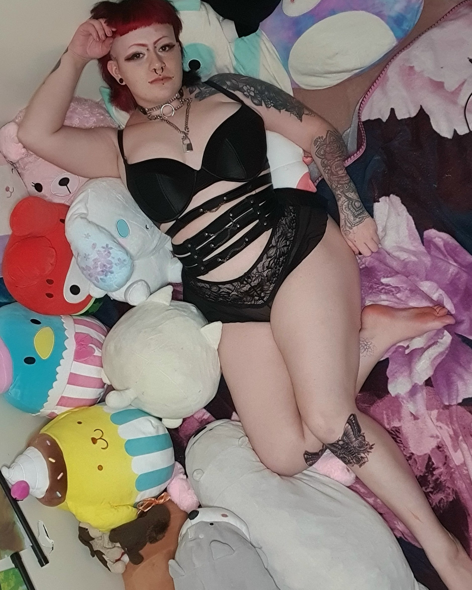 kitty banner image