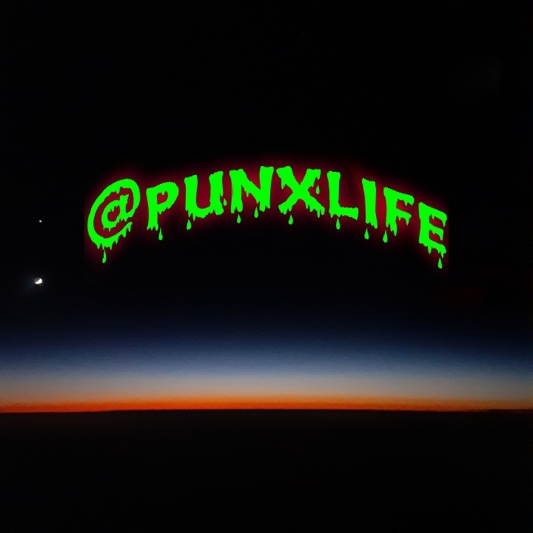 Punx banner image