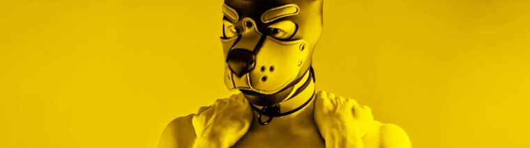 Pup Aurora cover image