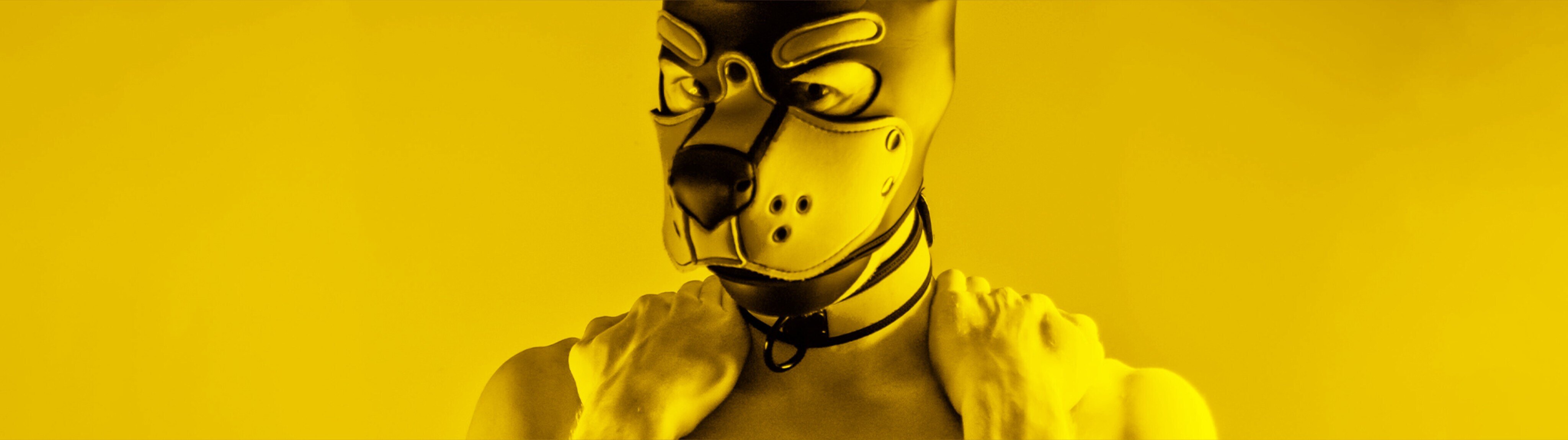 Pup Aurora banner image
