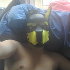 Pup-squishy avatar